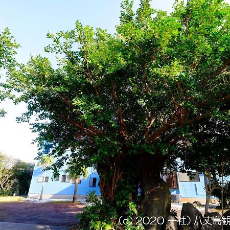 Kokumin Shukusha Sun Marina Hotel Hachijo Exterior foto